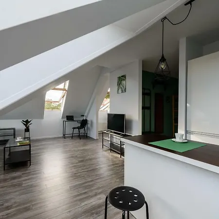 Studio Kopernika Apartment Ilawa