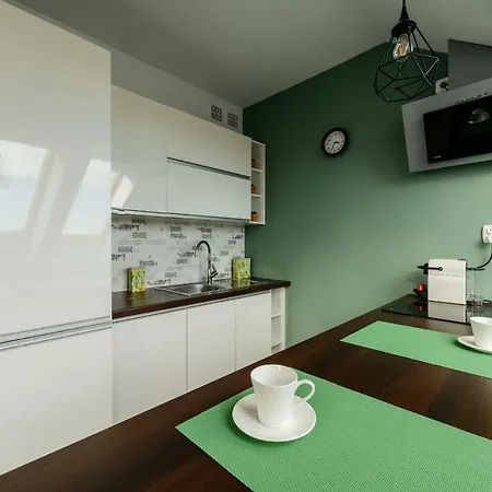 Studio Kopernika Apartment Ilawa